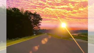 Sunset Bike Ride with My Feline Friend: A Magical Journey