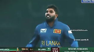 wonderful moment cricket