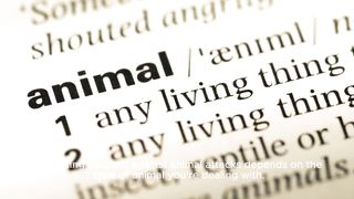 Strategies to protect against animal attacks, new ways to defend yourself