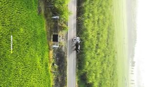 Village life