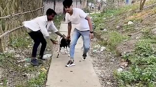 আমার ভাই টা চোর হোইলো,