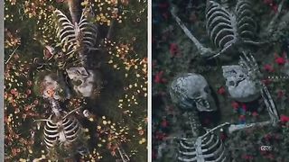 ????????#tiktok #tiktokvideo #foryou #viral #viralvideo