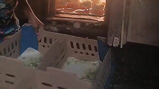 Raising simple broiler chickens #broilerchickens #poultryfarming #simple