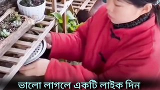 ফানি ভিডিও | Funny video