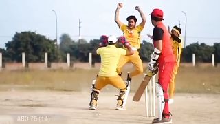 Funny spof of cricket