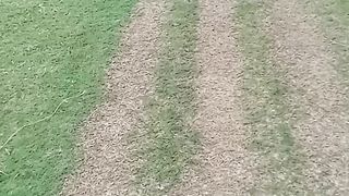দেশাত্মবোধক গান
