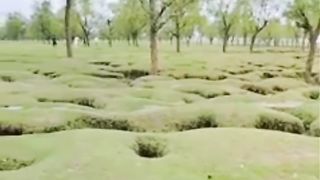 প্রকৃতির প্রেমে পরে দেখ একবার