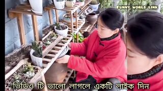 Funny video | comedy |ফানি ভিডিও