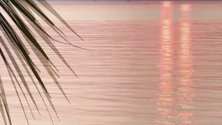The Sunset Morning day