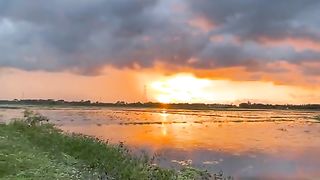 What a beautiful sun ????