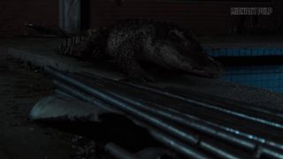 Wrong swimming pool movie video