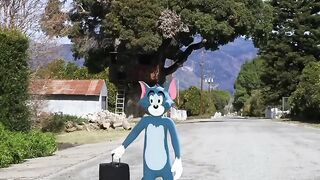Tom and jarry comdey video