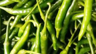 The Green Chili,Jhal