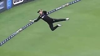 Fieldings That Blow Your Mind ????????????pt7 #cricket #fielding.