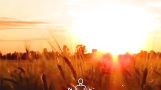 Positive vibes only sunset