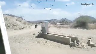 Funny videos and fails collection