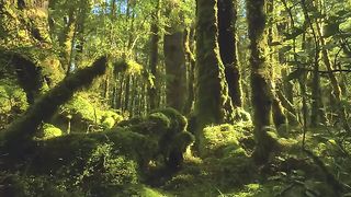 New_Zealand_in_8k_ULTRA_HD_HDR_