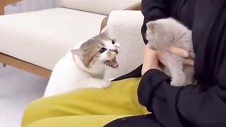 Funny videos (@funny_ooo)_3