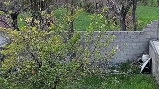 A beautiful video of a village KPK Pakistan