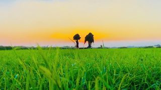 Natural view