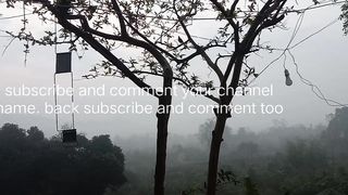 Subscribe to back subscribe