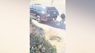 Best Funny Videos ???? - People Being Idiots - ???? Try Not To Laugh - ????️ #29