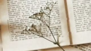 The Book ll The Book