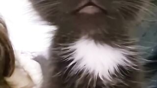Cute baby funny video