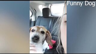 Best Funny Videos ???? - People Being Idiots - ???? Try Not To Laugh - ????️ #34