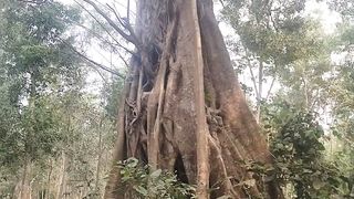 অসাধারণ