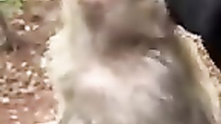 Almost fell asleep haha ​​monkey