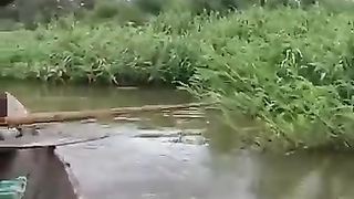 Fishing video