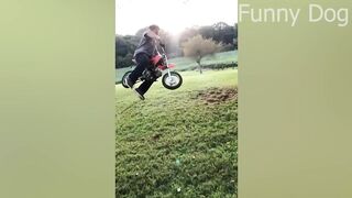 Best Funny Videos ???? - People Being Idiots - ???? Try Not To Laugh - ????️ #36
