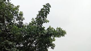 Cloudy sky raining Tapur Tapur