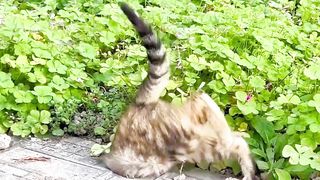Cate moment
