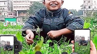 TikTok video fanny video