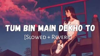 Tum Bin Main Dekhu To Kya Se Kya Ho Baithi - Slowed And Reverb - Lofi Songs - Lofi