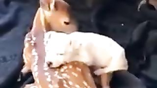 #funny