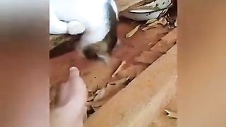 #funny
