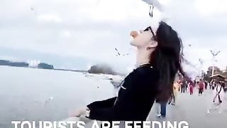 #funny