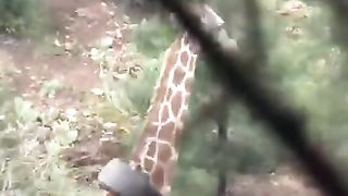 #funny