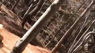#funny