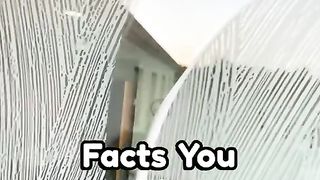 Random facts