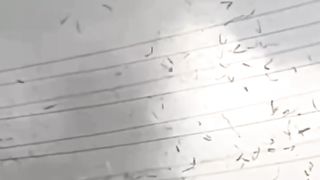 Tornado