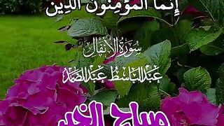 القران الكريم