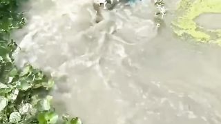 Fishing video in River.
