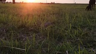 Beautiful moment