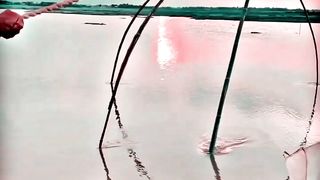 Beautiful nature in the afternoon of the Rever side