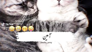 Cute ????