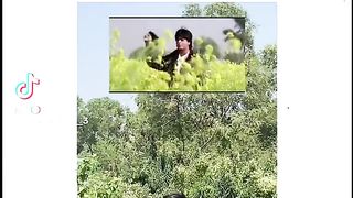 funny video in sri lanka